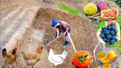موقع أيام نيوز